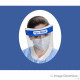 Pack of 10 Facial Protective Visors