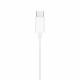 Apple MTJY3 - Original Earphones for Iphone - Type-C - Blister